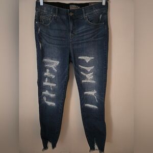 Torrid Bombshell Skinny Jeans